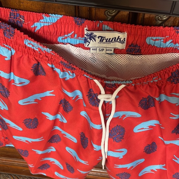 Trunks Surf & Swim Co. size Small, men’s 6” lined trunk - Picture 3 of 4